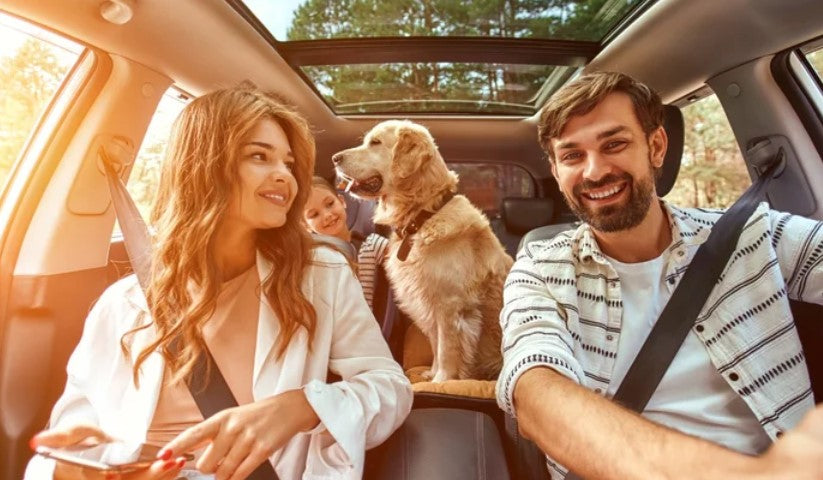5 Must-Have Car Accessories for Dog Owners in 2025
