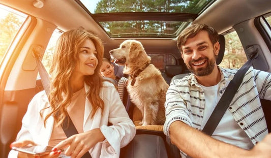 5 Must-Have Car Accessories for Dog Owners in 2025